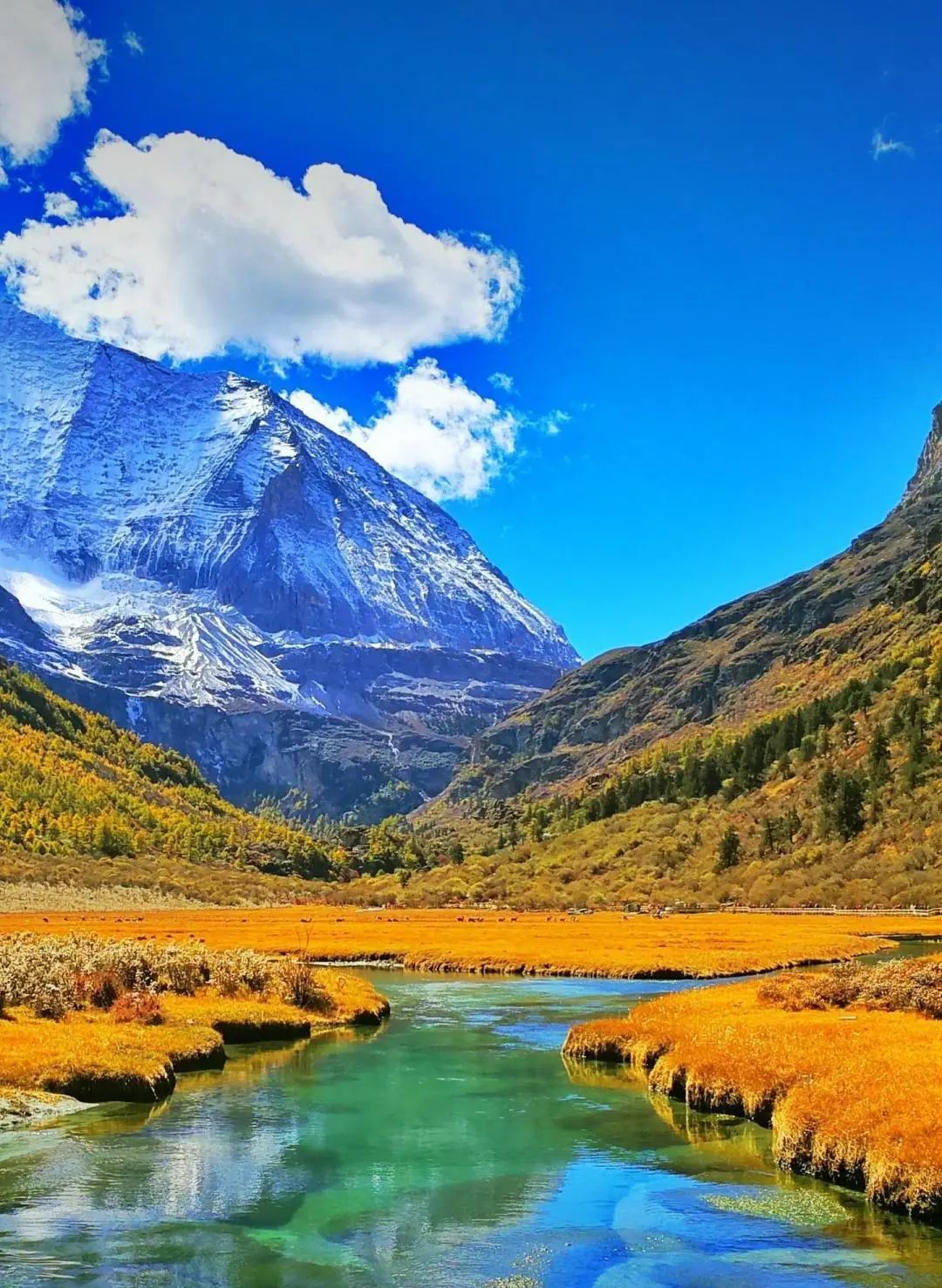 设计师当代艺术课 ▏与众多设计大咖,共赴川西秘境游学